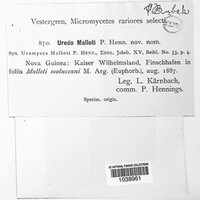 Image Associated With the Occurence